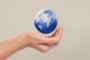 Commercial & International Trade